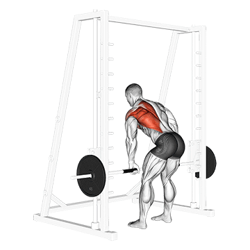 Smith One Arm Row demonstration