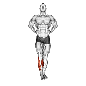 Ankle Circles demonstration