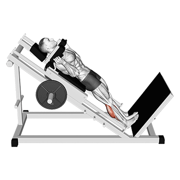 Hack Calf Raise demonstration