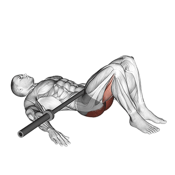 Hip Thrust (Barbell) demonstration