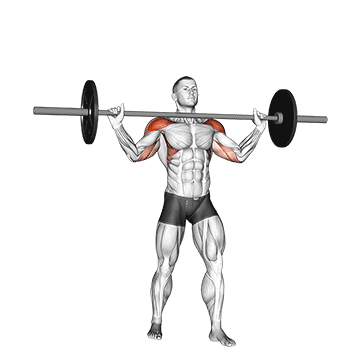 Overhead Press (Barbell) demonstration