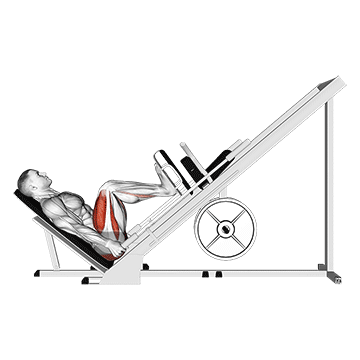 Sled 45° Leg Press (side Pov) demonstration