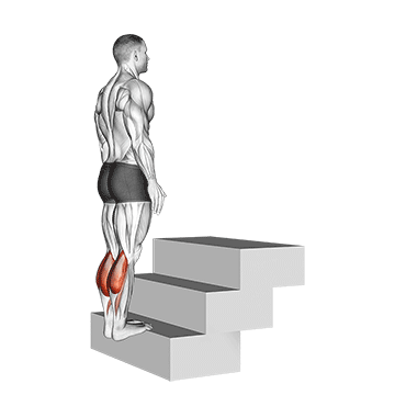 Stair Climber demonstration