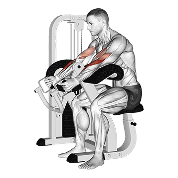 Lever Hammer Grip Preacher Curl demonstration