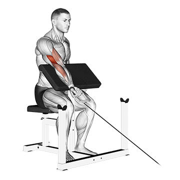 Cable One Arm Preacher Curl demonstration