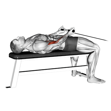 Cable Lying Bicep Curl demonstration