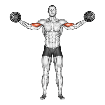 Dumbbell High Curl demonstration