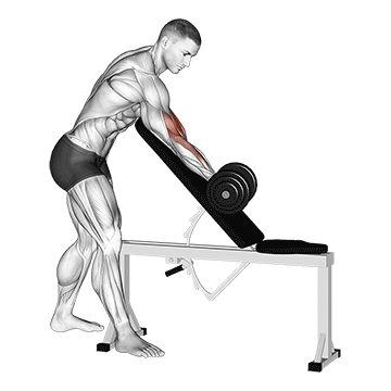 Dumbbell One Arm Zottman Preacher Curl demonstration