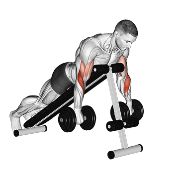 Dumbbell Reverse Spider Curl demonstration