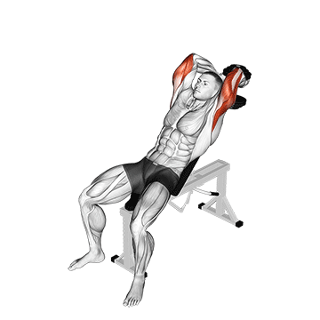Dumbbell Incline Two Arm Extension demonstration