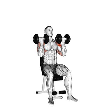 Arnold Press (Dumbbell) demonstration