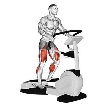 Walk Wave Machine demonstration