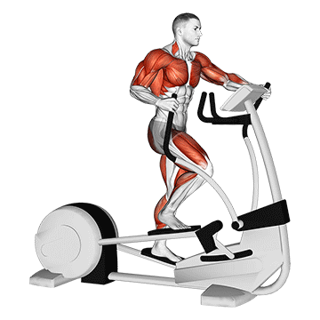 Elliptical demonstration