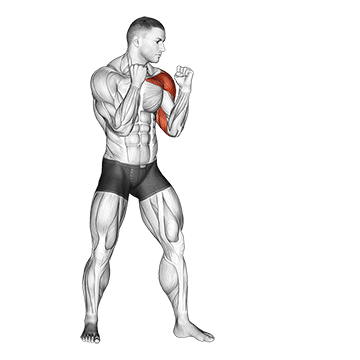 Boxing Jab demonstration