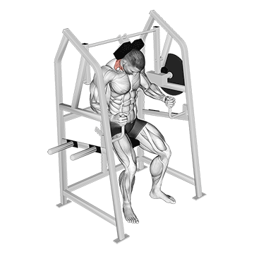 Lever Neck Extension (plate Loaded) demonstration