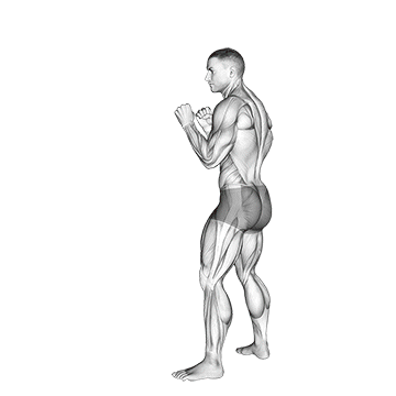 Front Snap Kick demonstration