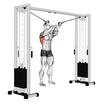 Lat Pulldown (Cable) demonstration