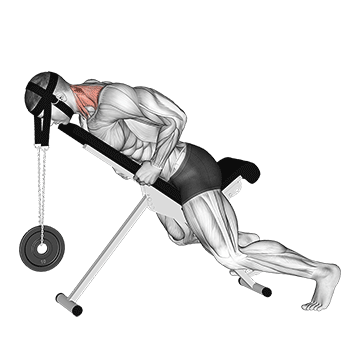 Weighted Lying Neck Extension (with Head Harness) demonstration