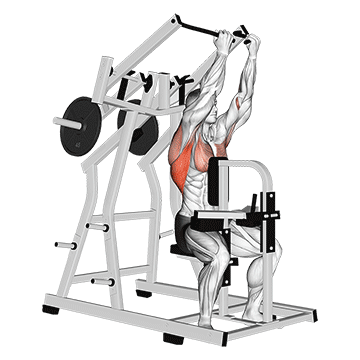 Lever Reverse Grip Lateral Pulldown demonstration