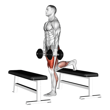 Dumbbell Step Up Lunge demonstration