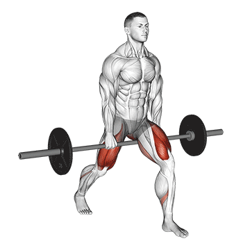 Barbell Split Squat (version 2) demonstration