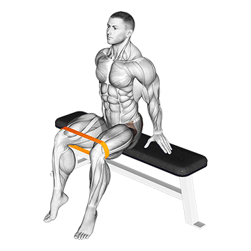 Resistance Band Seated Hip Abduction demonstration