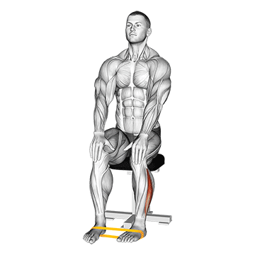 Resistance Band Foot External Rotation demonstration