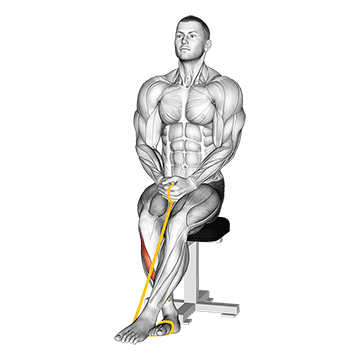 Resistance Band Foot Inversion demonstration