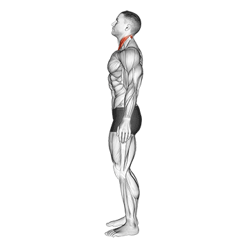 Chin Tuck demonstration