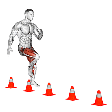 Zigzag Hops demonstration