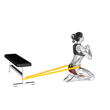 Resistance Band Hip Thrusts On Knees (female) demonstration
