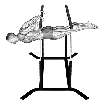 Back Lever demonstration