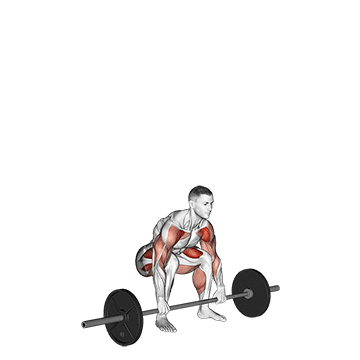 Barbell Weightlifting Complex demonstration