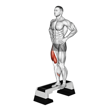 Stepdown Squat demonstration